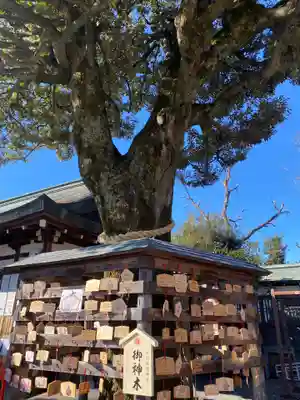 足利織姫神社(栃木県)