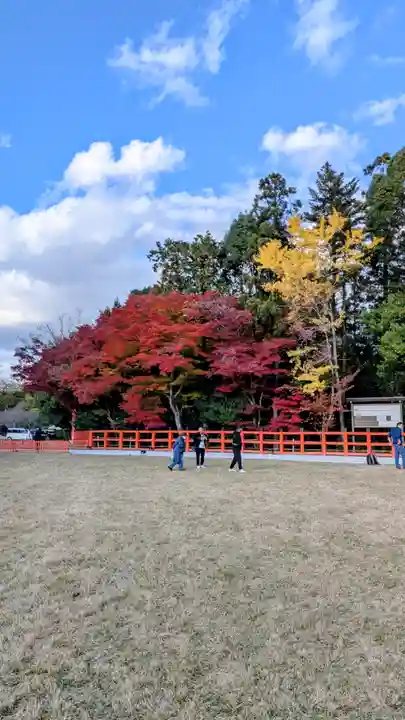 賀茂別雷神社(上賀茂神社)(京都府)
