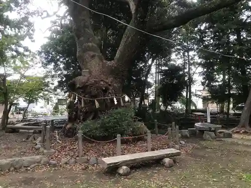 許禰神社(静岡県)