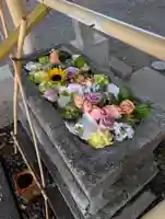 相模原氷川神社(神奈川県)