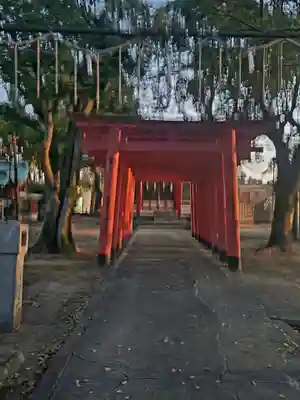 別宮大山祇神社(愛媛県)