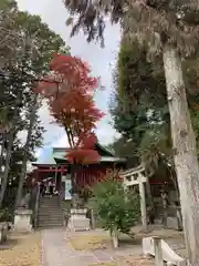 三光稲荷神社(愛知県)