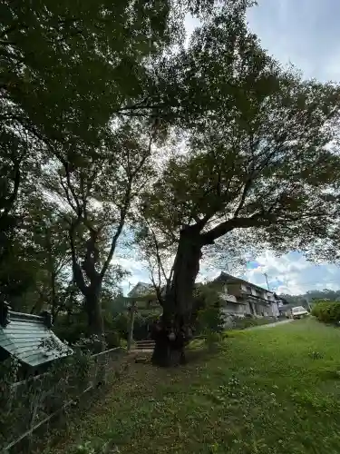 高根神社(長野県)