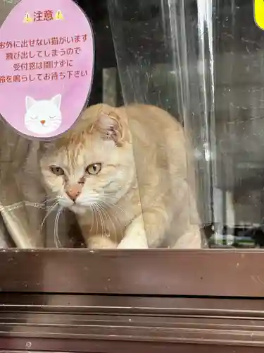 王子神社(徳島県)