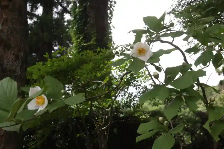 観音正寺(滋賀県)