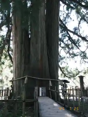 戸隠神社中社の{uncategorized: "未分類", other: "その他", undefined: "問題あり", building: "その他建物", grave: "お墓", sacred_gate: "鳥居", guardian: "狛犬", statue: "像", buddha: "仏像", history: "歴史", nature: "自然", garden: "庭園", animal: "動物", pagoda: "塔", temizu: "手水舎", mountain_gate: "山門・神門", sanctuary: "本殿・本堂", subordinate: "末社・摂社", art: "芸術", scenery: "景色", jizo: "地蔵", ema: "絵馬", goshuin: "御朱印", omikuji: "おみくじ", items: "授与品その他", amulet: "お守り", goshuincho: "御朱印帳", eats: "食事", festival: "お祭り", votive_dance: "神楽", shichigosan: "七五三参", wedding: "結婚式", experience: "体験その他", initially: "初詣", around: "周辺", anti_infection: "感染症対策"}