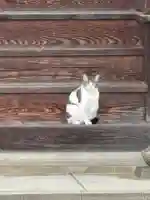 慈眼寺(島根県)