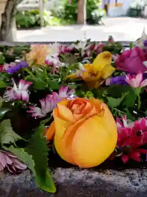 鳩森八幡神社(東京都)