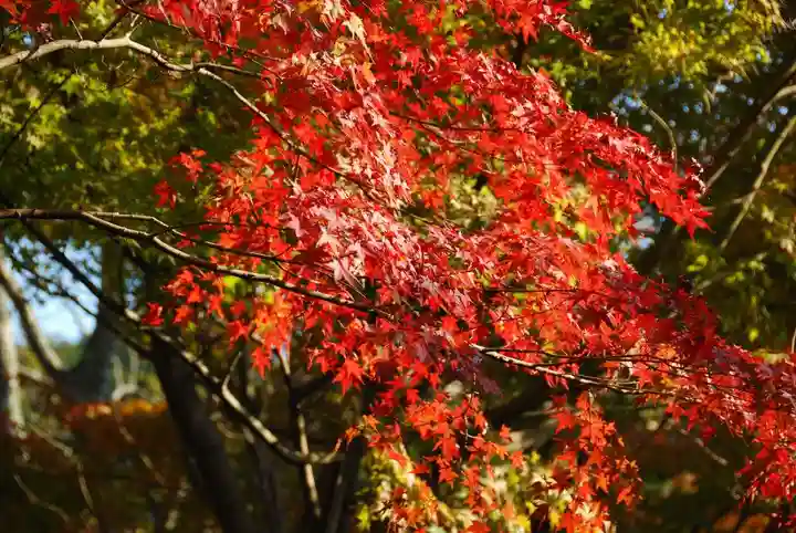 妙徳寺(山口県)