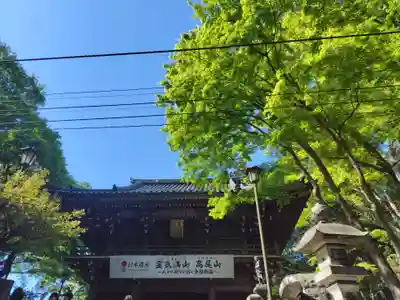高尾山薬王院(東京都)