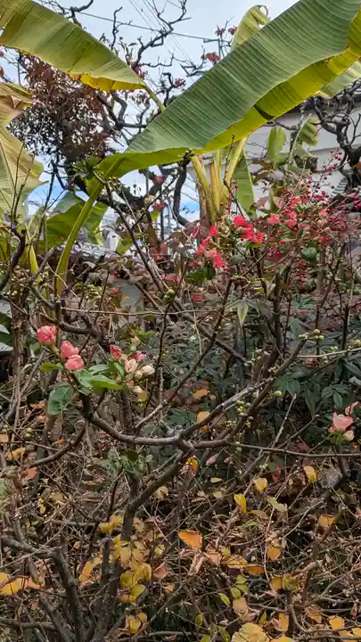 義仲寺(滋賀県)