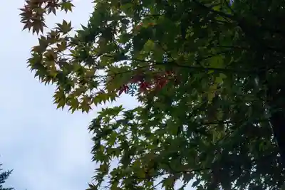 諏訪大社(長野県)