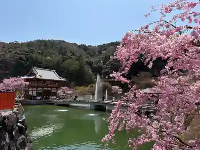 勝尾寺(大阪府)