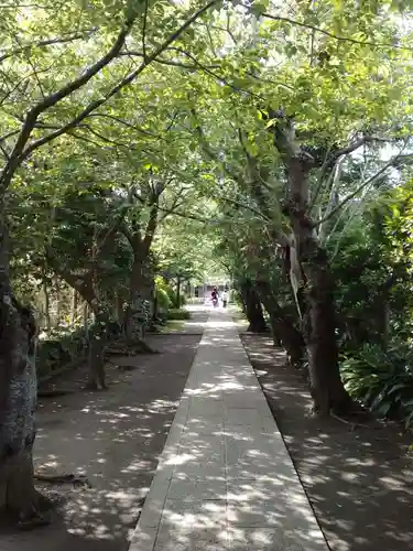 極楽寺（霊鷲山感應院極楽律寺）の景色