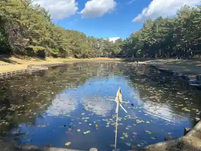 みそぎ御殿の{uncategorized: "未分類", other: "その他", undefined: "問題あり", building: "その他建物", grave: "お墓", sacred_gate: "鳥居", guardian: "狛犬", statue: "像", buddha: "仏像", history: "歴史", nature: "自然", garden: "庭園", animal: "動物", pagoda: "塔", temizu: "手水舎", mountain_gate: "山門・神門", sanctuary: "本殿・本堂", subordinate: "末社・摂社", art: "芸術", scenery: "景色", jizo: "地蔵", ema: "絵馬", goshuin: "御朱印", omikuji: "おみくじ", items: "授与品その他", amulet: "お守り", goshuincho: "御朱印帳", eats: "食事", festival: "お祭り", votive_dance: "神楽", shichigosan: "七五三参", wedding: "結婚式", experience: "体験その他", initially: "初詣", around: "周辺", anti_infection: "感染症対策"}