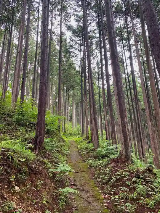 五社神社の周辺