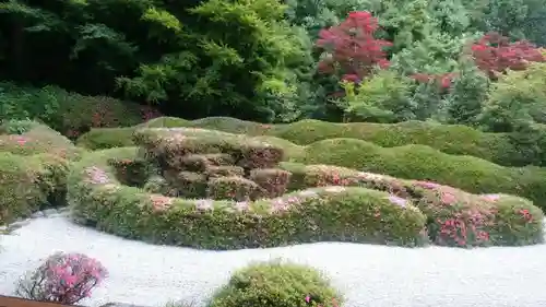 大池寺の庭園