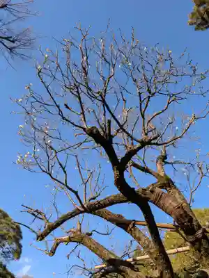 東長谷寺　薬王院(東京都)