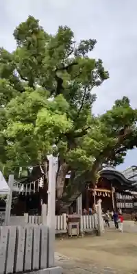 石切劔箭神社(大阪府)