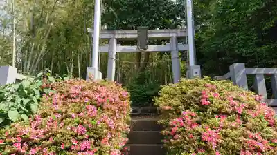 勝田杉山神社の鳥居