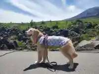 寛永寺別院浅間山観音堂の動物