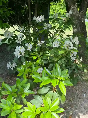 長泉院(埼玉県)