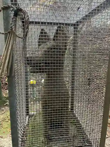 岩佐岐稲荷神社(兵庫県)