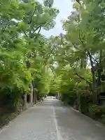 賀茂御祖神社(下鴨神社)の{uncategorized: "未分類", other: "その他", undefined: "問題あり", building: "その他建物", grave: "お墓", sacred_gate: "鳥居", guardian: "狛犬", statue: "像", buddha: "仏像", history: "歴史", nature: "自然", garden: "庭園", animal: "動物", pagoda: "塔", temizu: "手水舎", mountain_gate: "山門・神門", sanctuary: "本殿・本堂", subordinate: "末社・摂社", art: "芸術", scenery: "景色", jizo: "地蔵", ema: "絵馬", goshuin: "御朱印", omikuji: "おみくじ", items: "授与品その他", amulet: "お守り", goshuincho: "御朱印帳", eats: "食事", festival: "お祭り", votive_dance: "神楽", shichigosan: "七五三参", wedding: "結婚式", experience: "体験その他", initially: "初詣", around: "周辺", anti_infection: "感染症対策"}