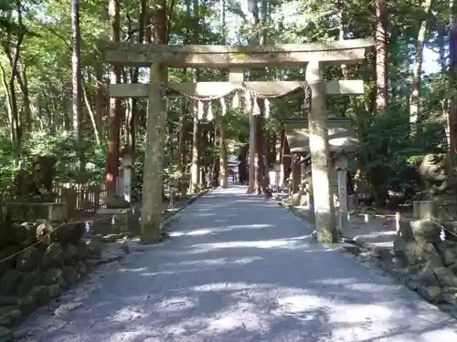 椿大神社の鳥居