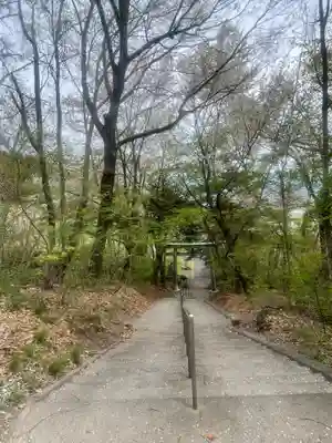 駒形嶽駒弓神社(長野県)