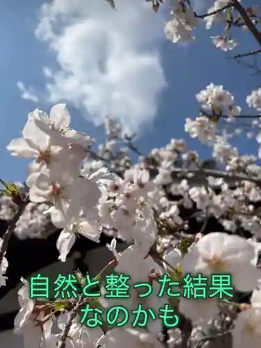 一乗院(和歌山県)