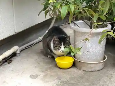 讃岐小白稲荷神社(東京都)
