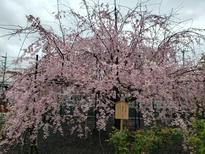 福蔵院(東京都)