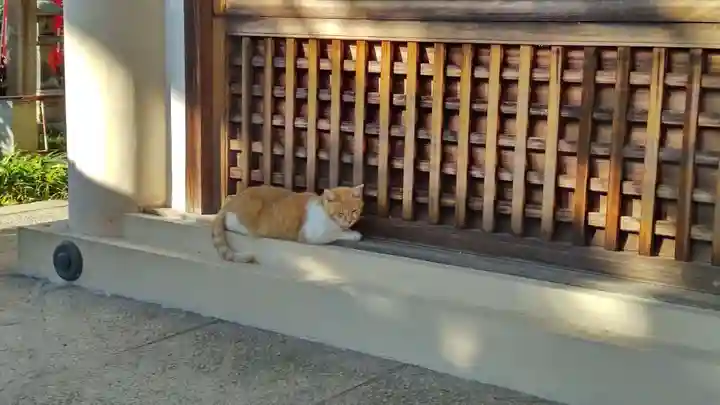 大江神社の動物