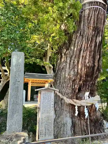 大國魂神社の自然