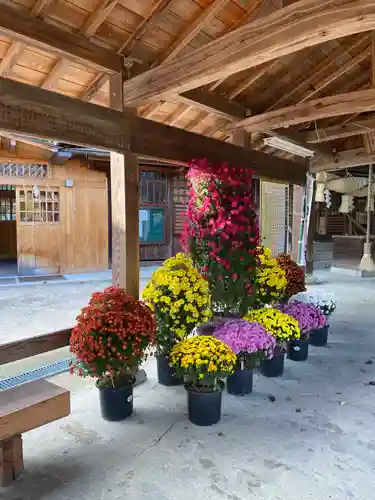 備中国總社の自然