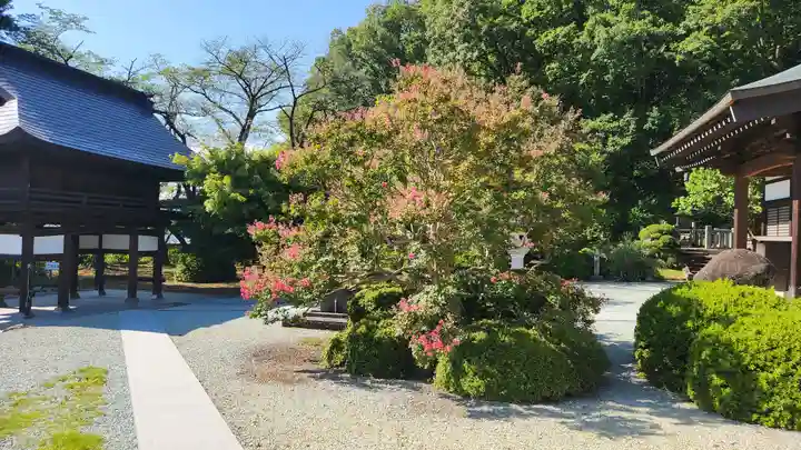 耕龍寺(山形県)