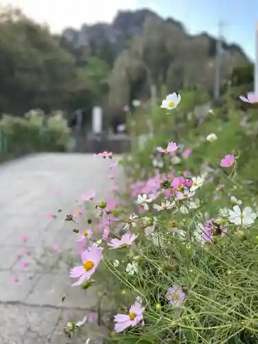 妙義神社(群馬県)