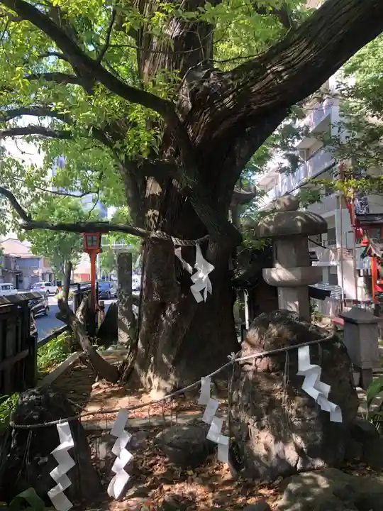 若一神社(京都府)