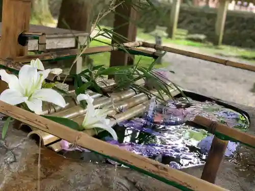 都農神社の手水