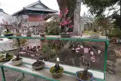 菅原天満宮（菅原神社）の庭園