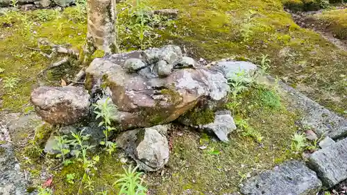 黒駒神社(福井県)