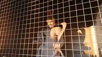 総願寺のその他建物