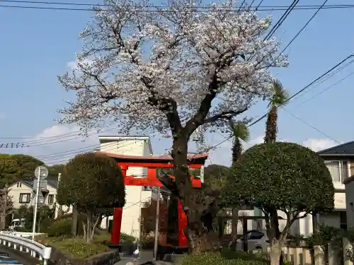 武蔵一宮氷川神社の{uncategorized: "未分類", other: "その他", undefined: "問題あり", building: "その他建物", grave: "お墓", sacred_gate: "鳥居", guardian: "狛犬", statue: "像", buddha: "仏像", history: "歴史", nature: "自然", garden: "庭園", animal: "動物", pagoda: "塔", temizu: "手水舎", mountain_gate: "山門・神門", sanctuary: "本殿・本堂", subordinate: "末社・摂社", art: "芸術", scenery: "景色", jizo: "地蔵", ema: "絵馬", goshuin: "御朱印", omikuji: "おみくじ", items: "授与品その他", amulet: "お守り", goshuincho: "御朱印帳", eats: "食事", festival: "お祭り", votive_dance: "神楽", shichigosan: "七五三参", wedding: "結婚式", experience: "体験その他", initially: "初詣", around: "周辺", anti_infection: "感染症対策"}