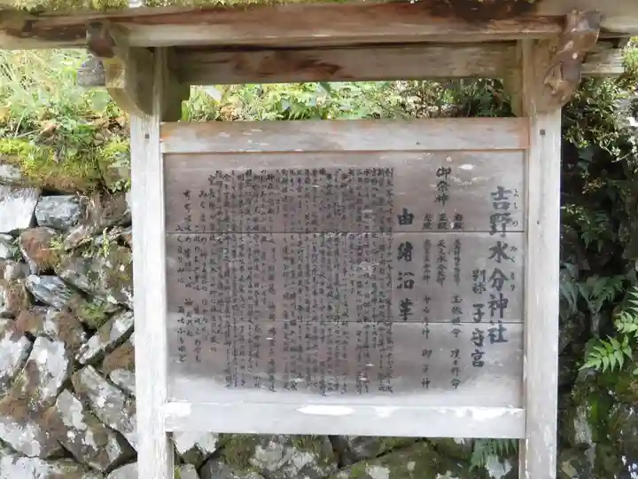 吉野水分神社(吉野町)の歴史