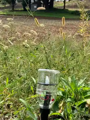 沢山神社(澤山神社)(新潟県)