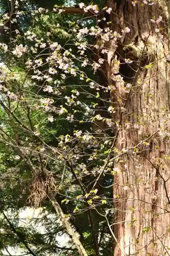 磐椅神社(福島県)