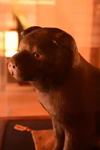 高山寺(京都府)