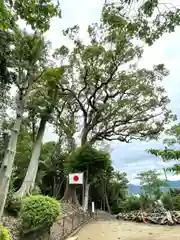 阿高神社(福岡県)