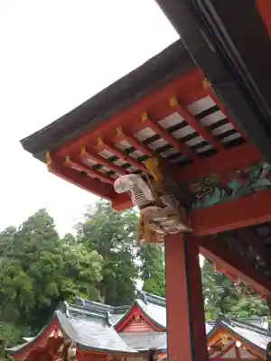 霧島神宮(鹿児島県)